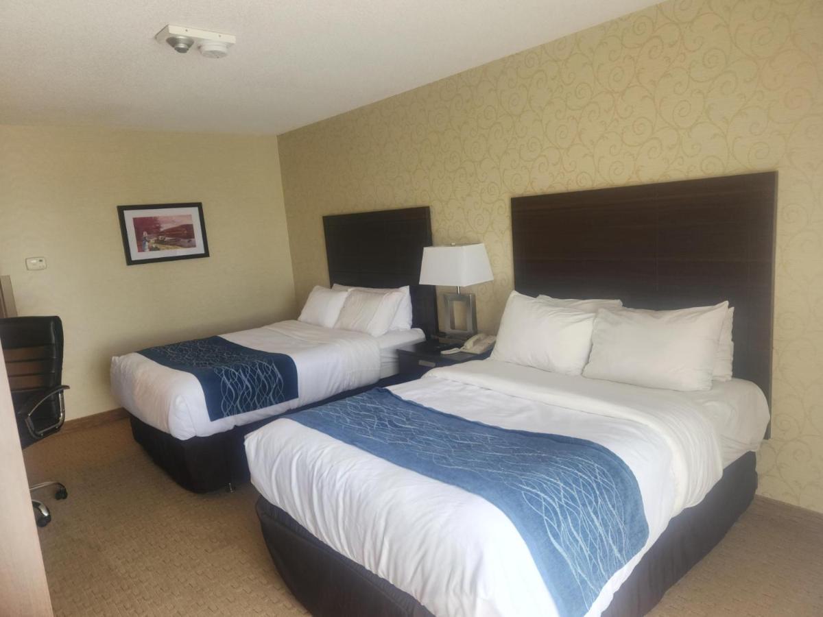 Trois-Rivières Comfort Inn מראה חיצוני תמונה
